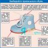 Как правильно подобрать размер детской обуви?
